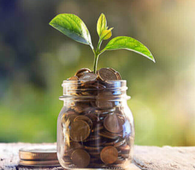 A plant sprout grows out of a jar filled with coins
